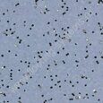 Sphera EC 450037 China blue