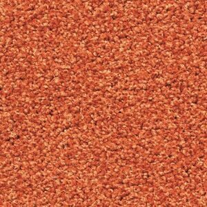 Tessera_Sheerpoint_1193_shandy